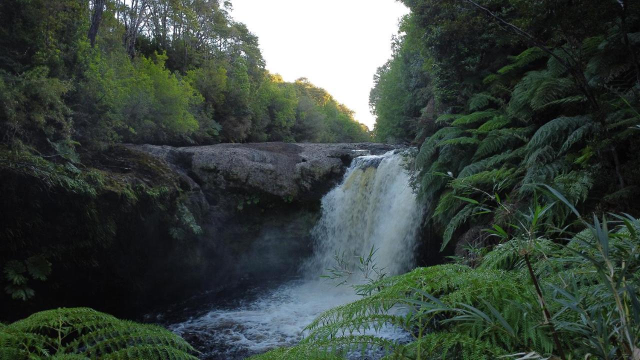 Lodge Parque Tepuhueico 卡斯特鲁 外观 照片