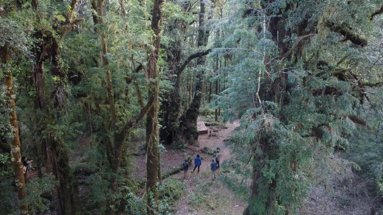 Lodge Parque Tepuhueico 卡斯特鲁 外观 照片