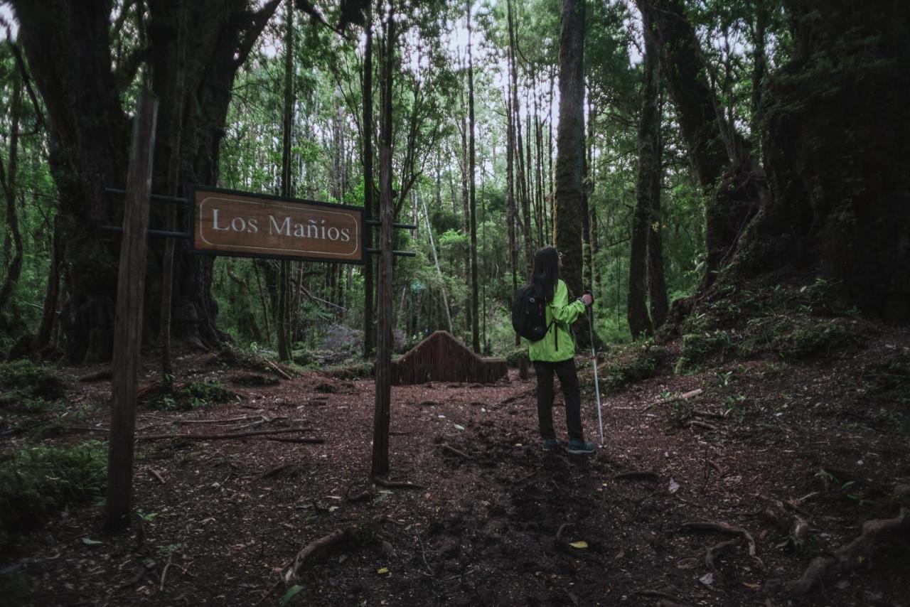 Lodge Parque Tepuhueico 卡斯特鲁 外观 照片