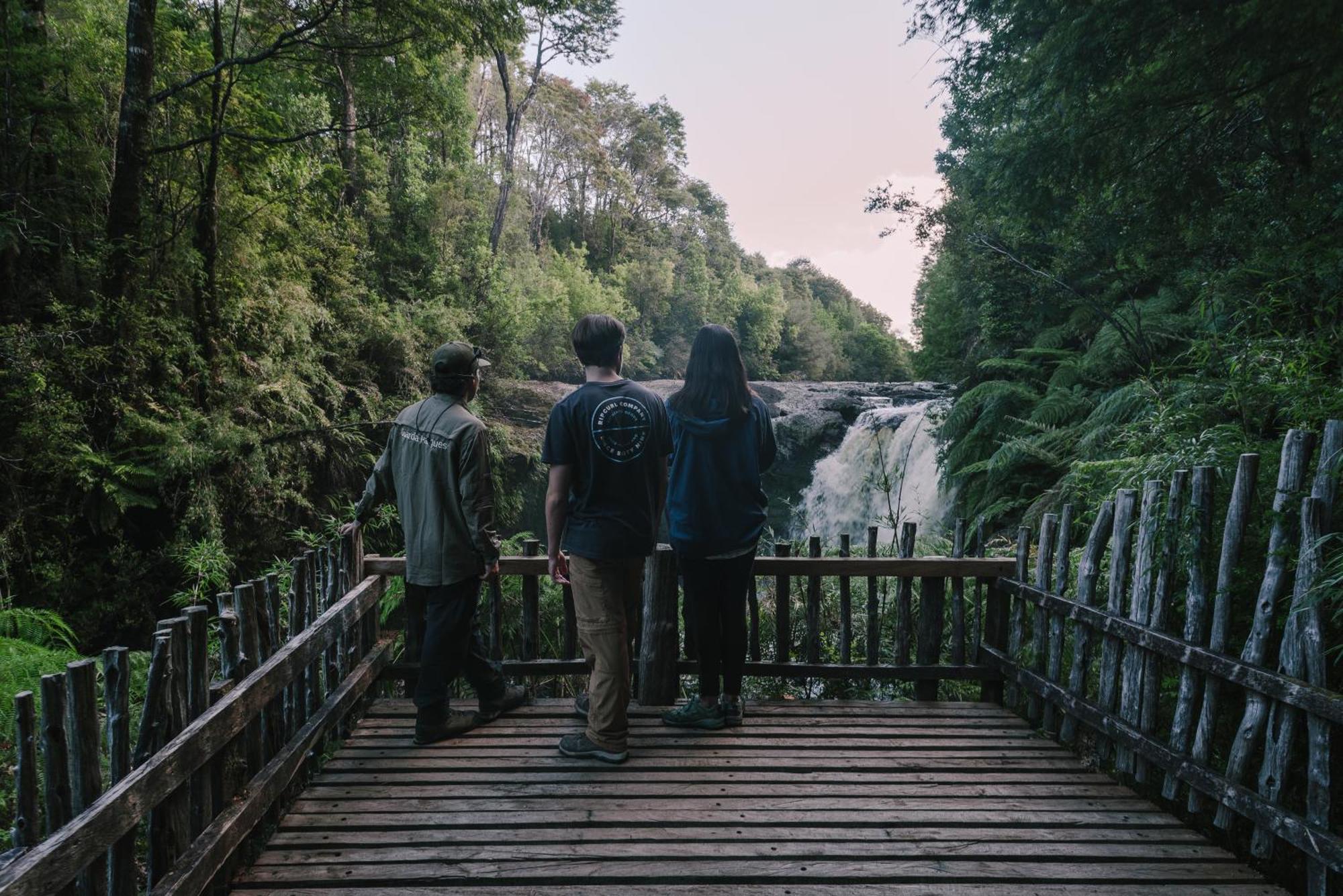 Lodge Parque Tepuhueico 卡斯特鲁 外观 照片