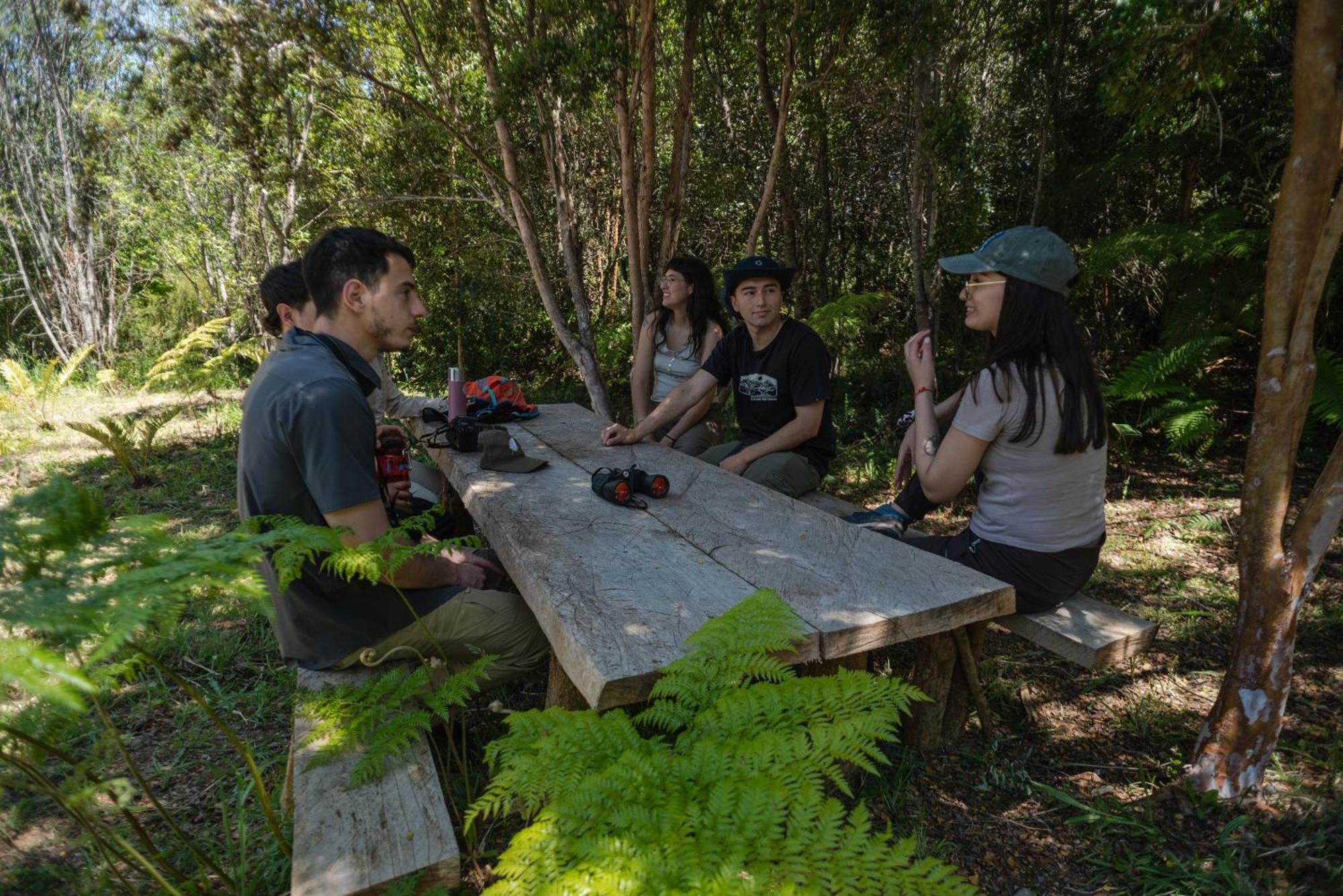 Lodge Parque Tepuhueico 卡斯特鲁 外观 照片